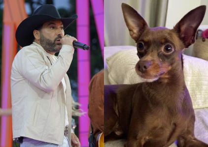 Cachorro de estimação de Edson sumiu há uma semana