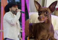 Cachorro de Edson, da dupla com Hudson, é encontrado morto após mobilização