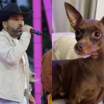 Cachorro de Edson, da dupla com Hudson, é encontrado morto após mobilização