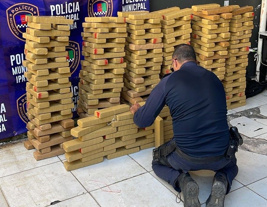 Polícia Municipal apreende cerca de 250 kg de maconha na BR-381, em Ipatinga