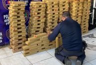 Polícia Municipal apreende cerca de 250 kg de maconha na BR-381, em Ipatinga