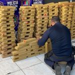 Polícia Municipal apreende cerca de 250 kg de maconha na BR-381, em Ipatinga