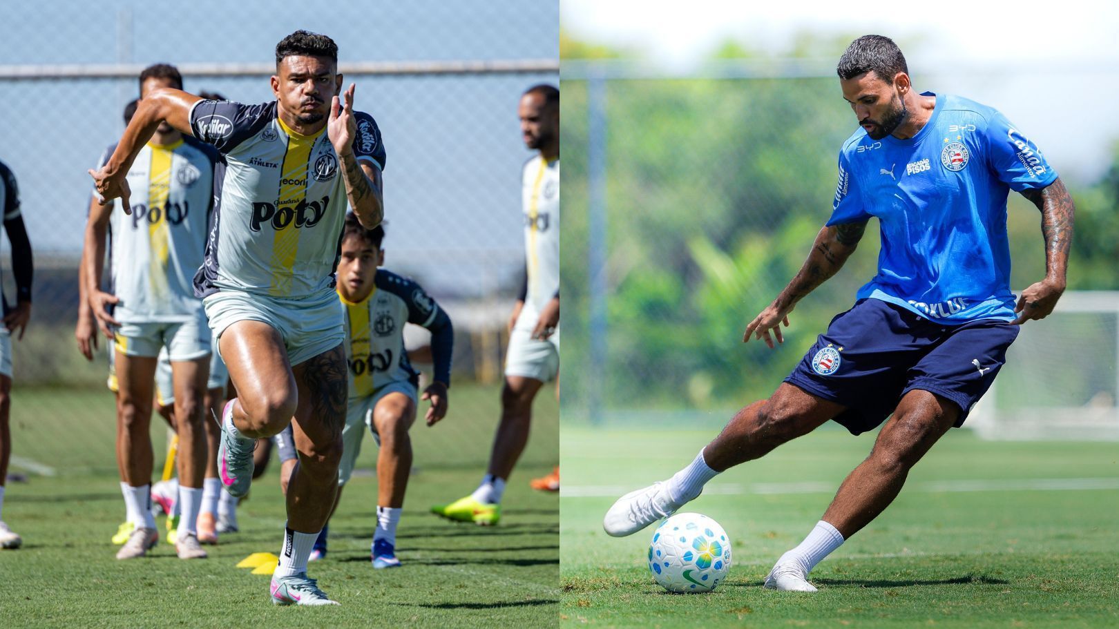 Em situações opostas, Mirassol e Bahia se enfrentam pelo Campeonato Brasileiro