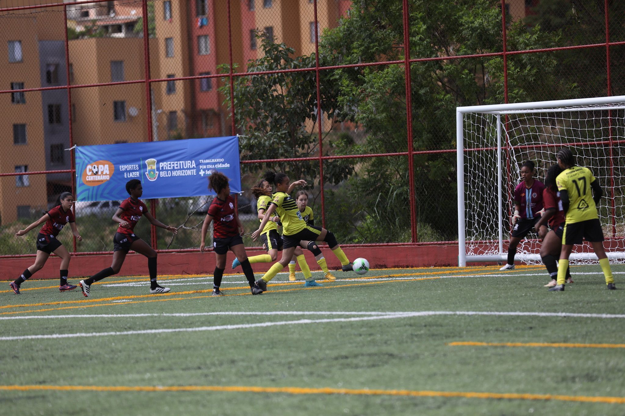 Câmara de BH irá votar projeto que pode barrar atletas trans em competições esportivas