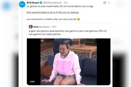 BYD, marca de automóveis elétricos, se mobiliza para "dar presente" para Gabriela • Reprodução/Redes Sociais