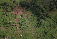 Homem é multado por desmatamento em Alto Rio Doce (MG)