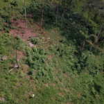 Homem é multado por desmatamento em Alto Rio Doce (MG)