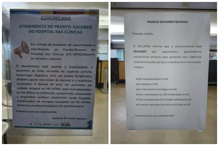 • Imagens cedidas à Itatiaia