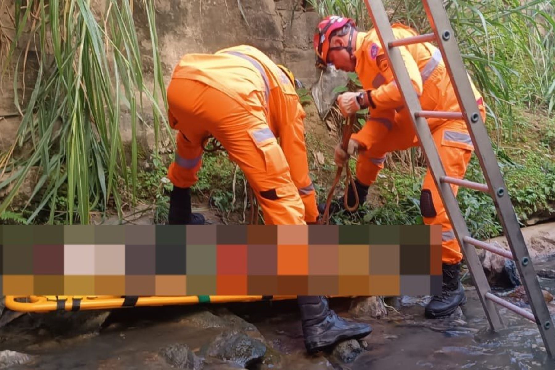 Mulher cai em córrego ao tentar resgatar gato no interior de MG