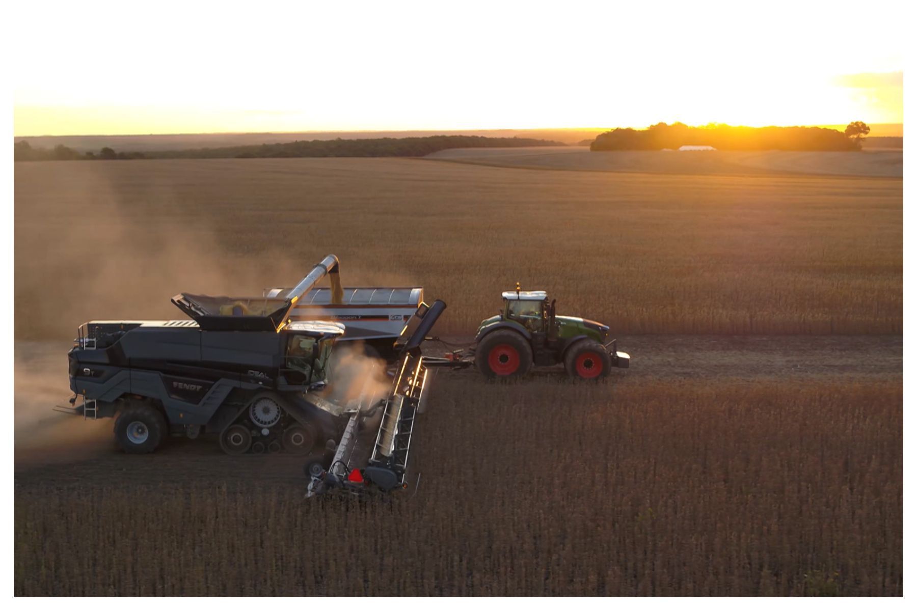 Agro brasileiro cresce, mas enfrenta desafios com as condições da economia