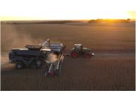 Agro brasileiro cresce, mas enfrenta desafios com as condições da economia