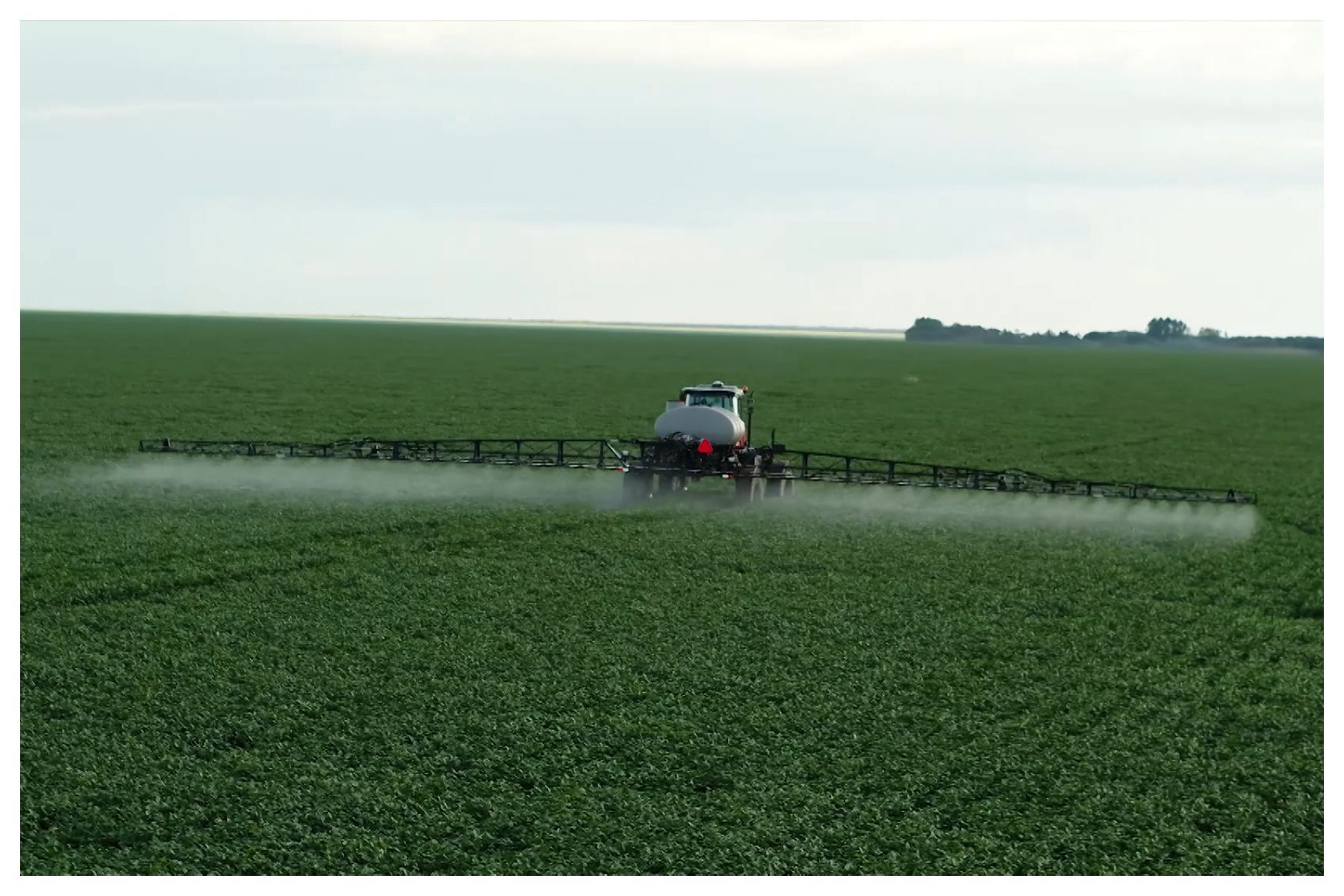 Crédito no agro: o que revela o Observatório da Agropecuária Brasileira