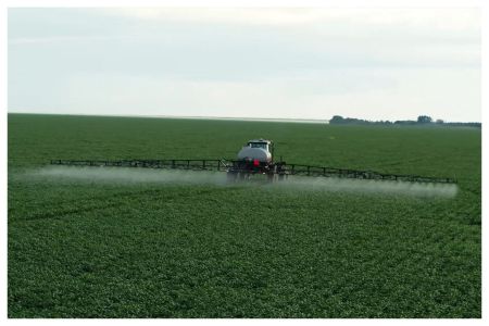 Inovação no campo leva Minas a posição de destaque nacional no Agro • CNN Brasil