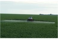 Crédito no agro: o que revela o Observatório da Agropecuária Brasileira