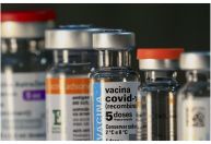 É falso que vacina contra a covid-19 foi projetada para causar danos à saúde; entenda