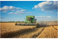 Agro brasileiro cresce e Minas Gerais se consolida como potência