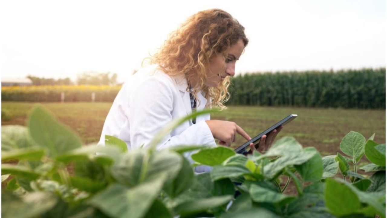 Linhas de crédito impulsionam a agricultura sustentável
