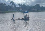 Peixes morrem 'asfixiados' e são retirados da Lagoa da Pampulha, em BH; entenda