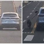 PC investiga motorista que dirige com cachorro preso do lado de fora do carro no PR