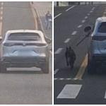 PC investiga motorista que dirige com cachorro preso do lado de fora do carro no PR