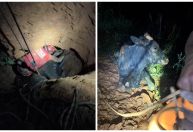 Vídeo: vaca é resgatada após cair em buraco de 5 metros em MG