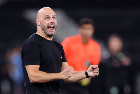 Franclim Carvalho, técnicodo Botafogo