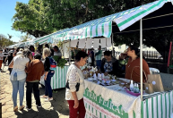 Feiras livres ganham força e impulsionam agricultura familiar em Minas