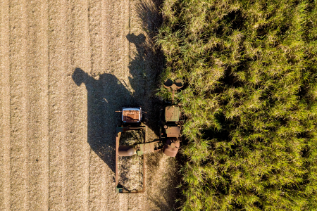 Empresa terá financiamento de R$ 83,9 mi para inovação na cana-de-açúcar