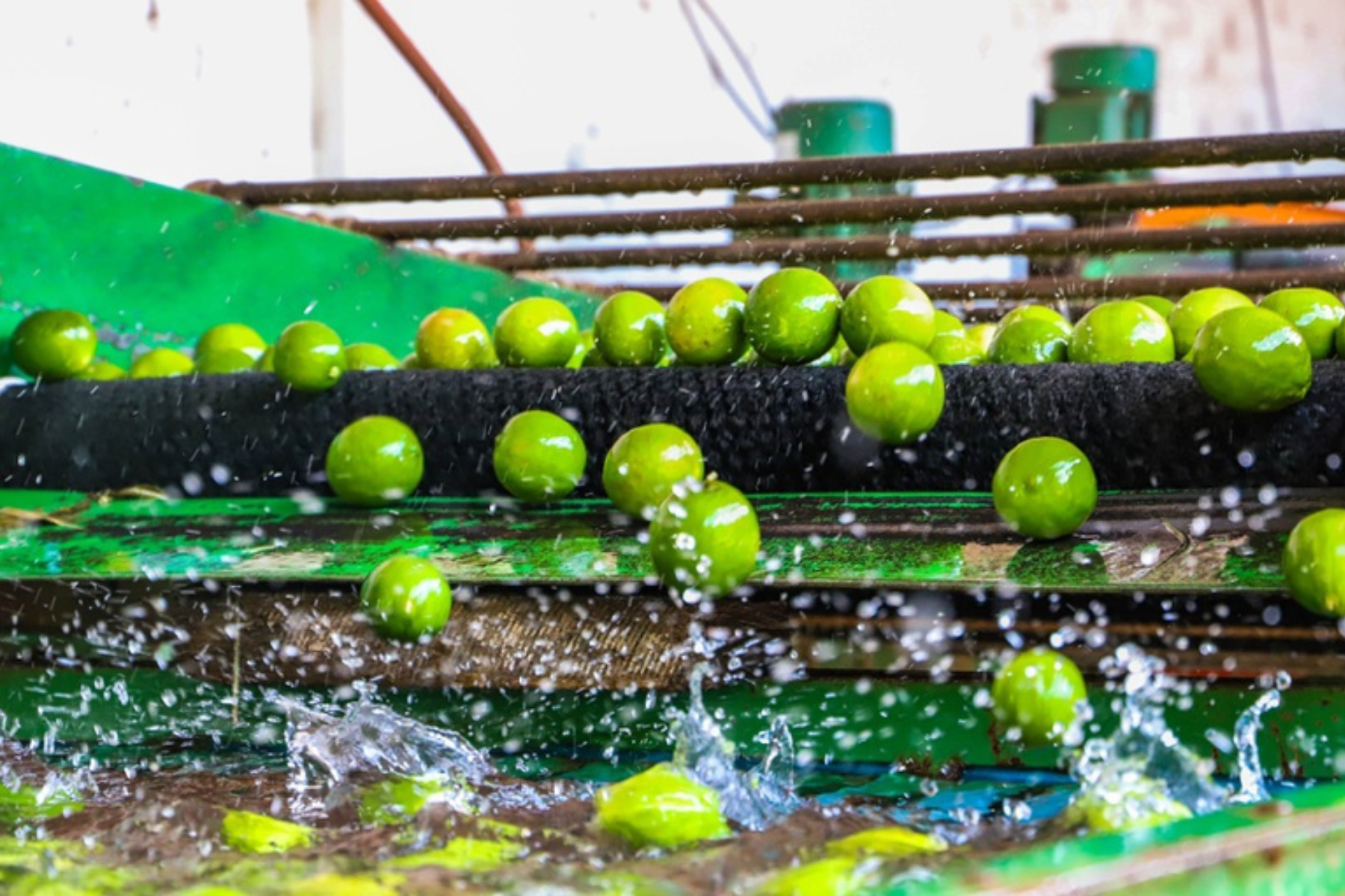 Brasil recebe missão cubana visando abertura de mercado para frutas brasileiras