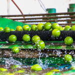 Brasil recebe missão cubana visando abertura de mercado para frutas brasileiras
