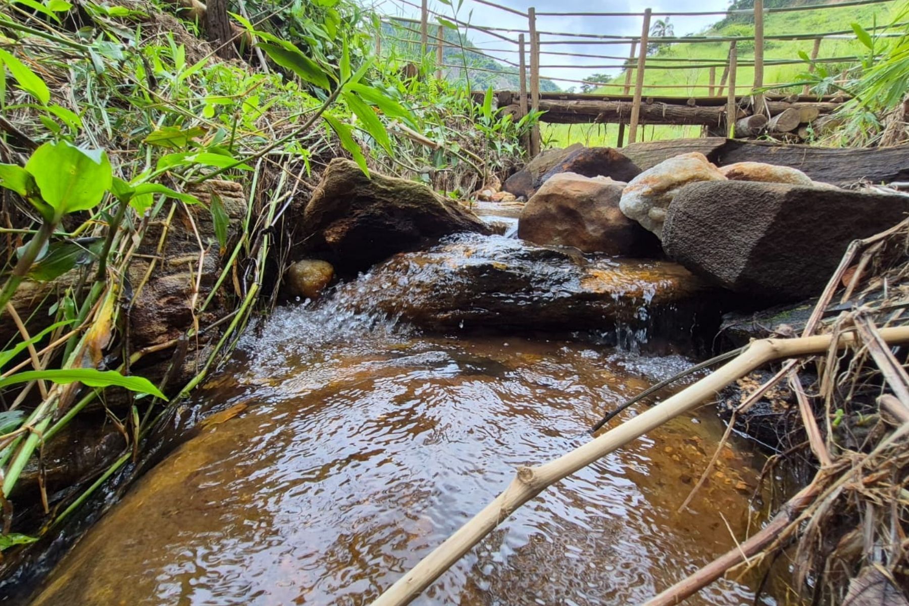 Projeto ambiental investe R$ 8 milhões e fortalece segurança hídrica na região