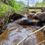 Projeto ambiental investe R$ 8 milhões e fortalece segurança hídrica na região