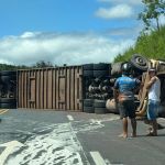 Motorista morre em capotamento de carreta com 61 bois na BR-365, no Norte de Minas