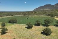 Casal é preso suspeito de administrar plantação com 300 mil pés de maconha na Bahia