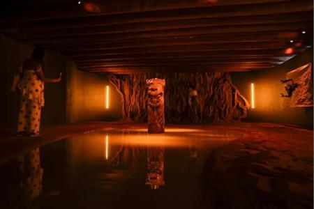 A instalação Tororoma, do artista Davi de Jesus do Nascimento, durante abertura comemoração aos 20 anos do Instituto Inhotim, em Brumadinho • Tomaz Silva/Agência Brasil