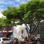 Inscrições para concurso da Prefeitura de Lavras terminam nesta quinta (16)