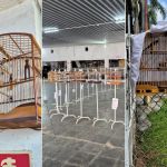 Dois homens são presos suspeitos de tráfico de animais silvestres em MG