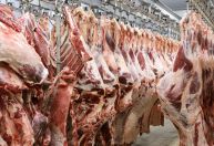 Cota de carne bovina para a China deve ser esgotada até maio, alerta Abiec