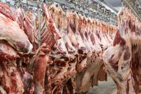 Arroba do boi cai em SP, mas carne bovina sustenta altas no atacado, aponta Cepea