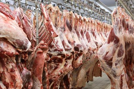 Arroba do boi cai em SP, mas carne bovina sustenta altas no atacado, aponta Cepea