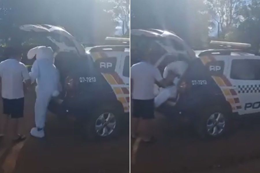 Vídeo: 'Coelhinho da Páscoa' supostamente ligado ao CV é detido durante entrega de chocolates