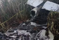 Piloto morre em queda de aeronave de pequeno porte no interior de São Paulo