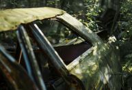 Polícia encontra quatro corpos dentro de carro abandonado em João Pessoa (PB)