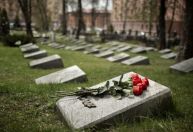 O que acontece quando morremos? Neurocientista português explica