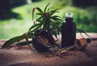 Justiça garante fornecimento de canabidiol para criança com autismo em MG