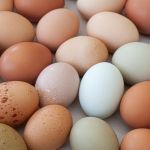 Minas Gerais ultrapassa Paraná e se torna o 2º maior produtor de ovos do Brasil