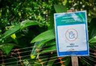 Um ano e meio após rompimento, Lagoa do Nado tem áreas vazias e interditadas em BH