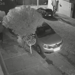 Imagens mostram suspeitos antes de ataque a bar na Avenida Guarapari, em BH