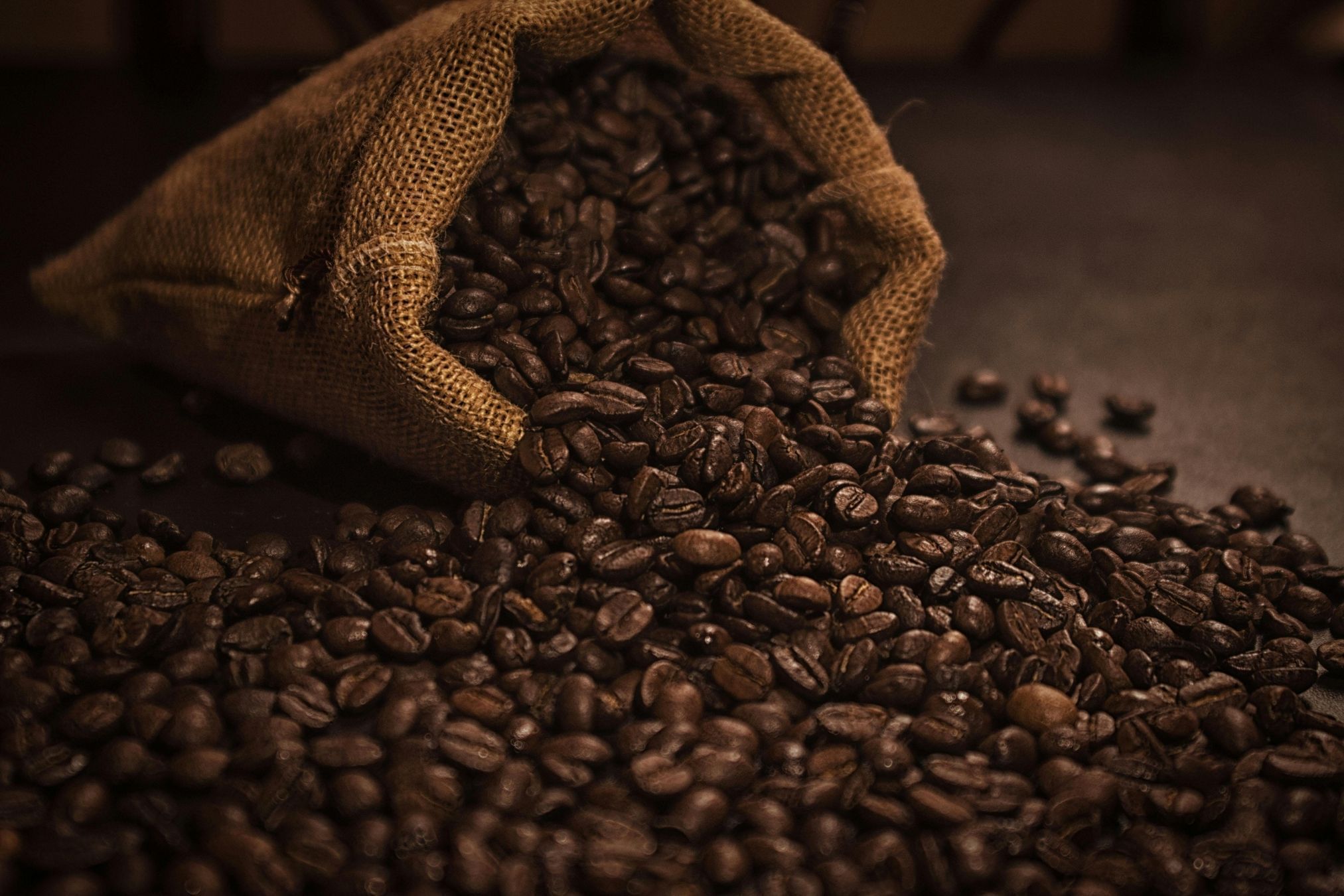 Empresa mineira cria centro de inteligência e amplia atuação no mercado cafeeiro
