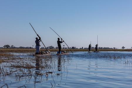 Travessia do Delta do Okavango em mokoro, Botsuana • Diego Delso , CC BY-SA 4.0 , via Wikimedia Commons